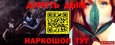 скорость Новозыбков