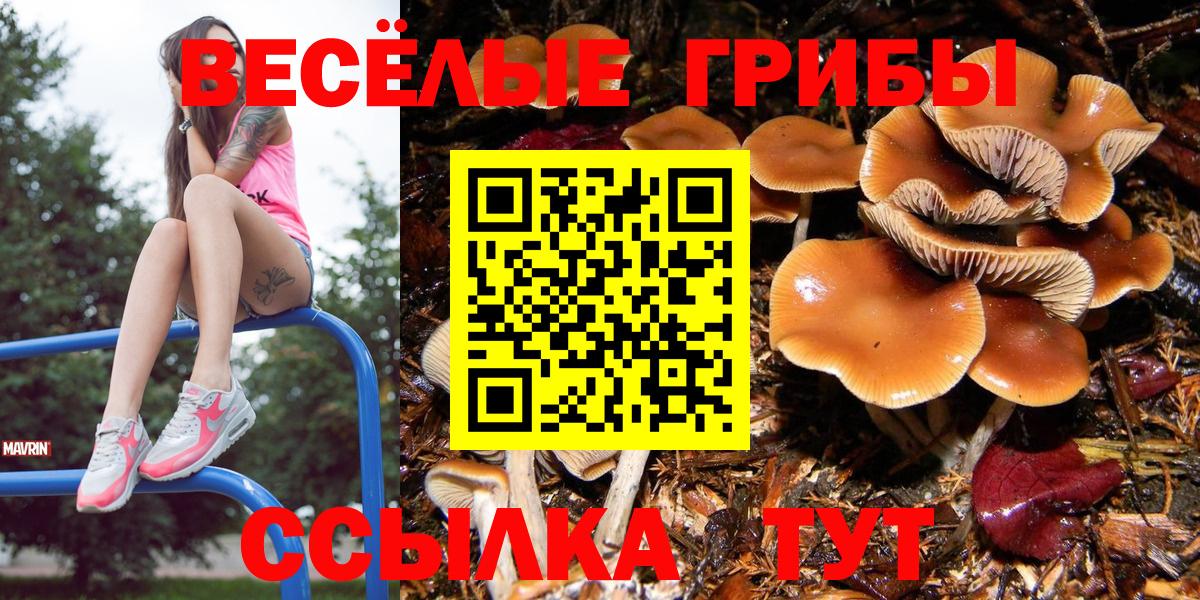 Псилоцибиновые грибы ЛСД  Псилоцибиновые грибы ЛСД  Вход с VPN  Усть-Илимск 